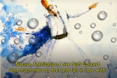 Monsoon Sufi Festival 2018 Image 2